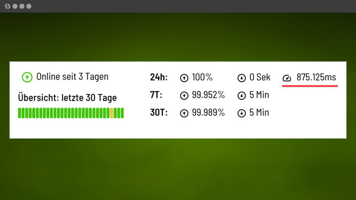 Antwortzeit Server