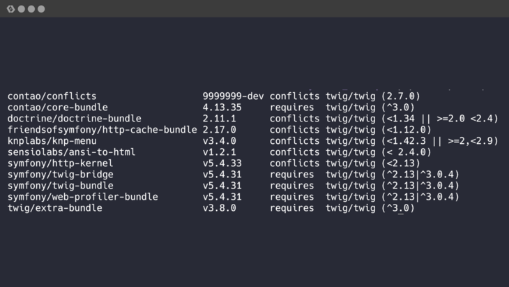 Ergebnis Befehl php composer.phar depends twig/twig